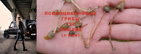 амф Каменка