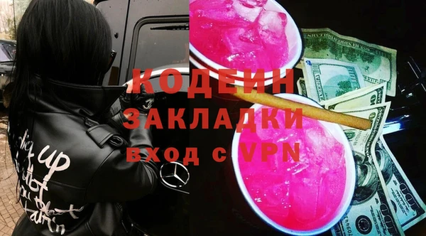 амф Каменка