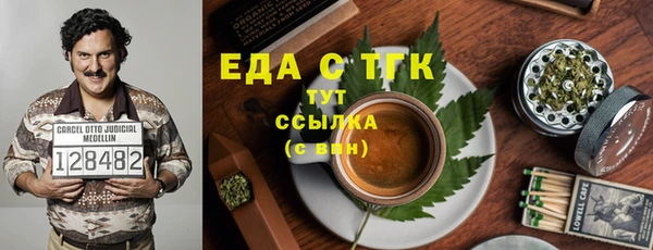 амф Каменка