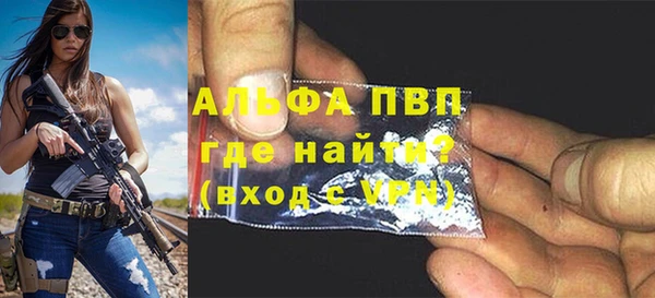 амф Каменка
