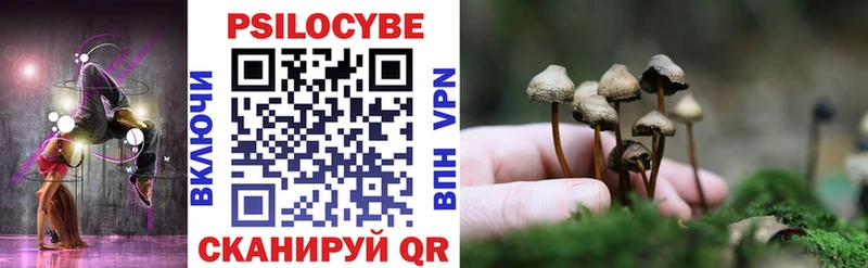Галлюциногенные грибы прущие грибы  Купить где  Инсар 